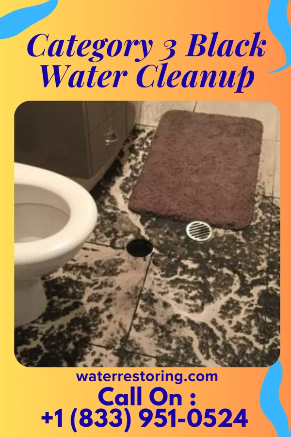 Category 3 Black Water Cleanup in Pocasset, OK