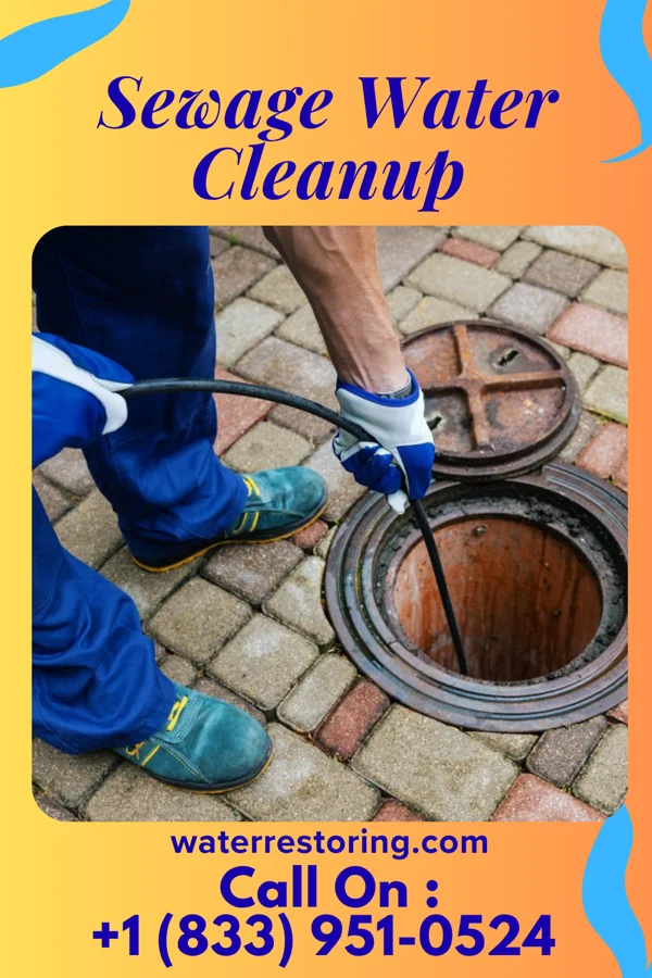 Sewage Water Cleanup in Pocasset, OK